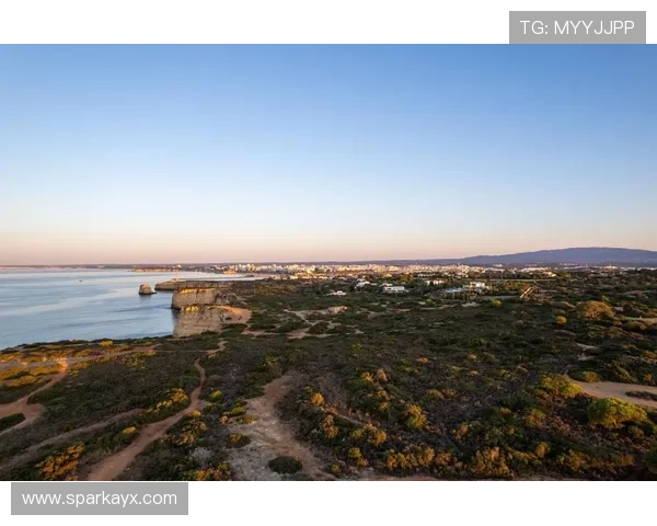 托比亚斯卡斯蒂利亚最新数据揭示行业新趋势，引发广泛关注